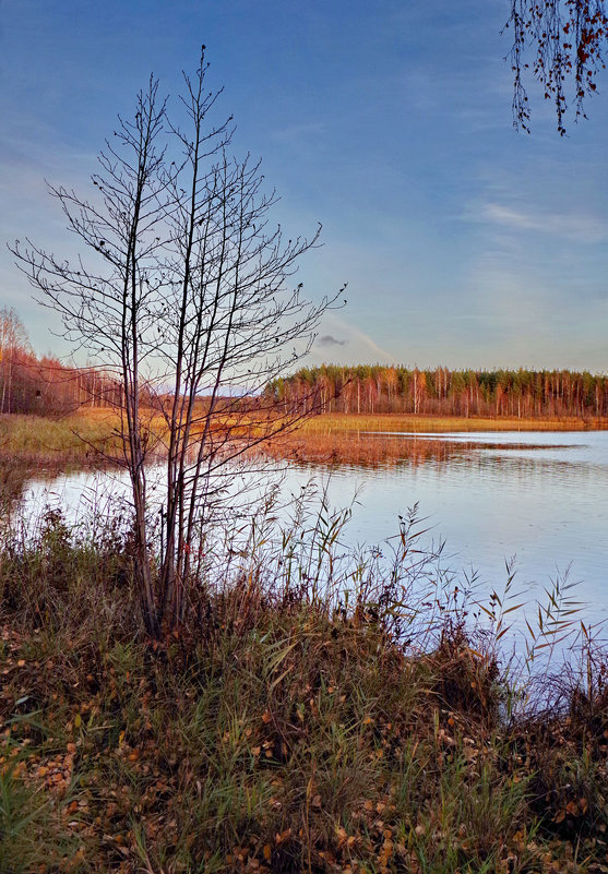 Даниковское озеро - Валерий Талашов