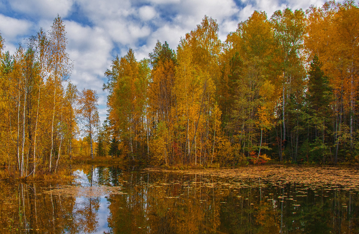 Осеннее озеро - vladimir Bormotov