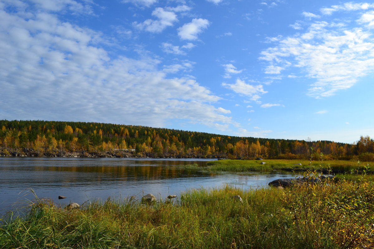 Осенняя река - Ольга 