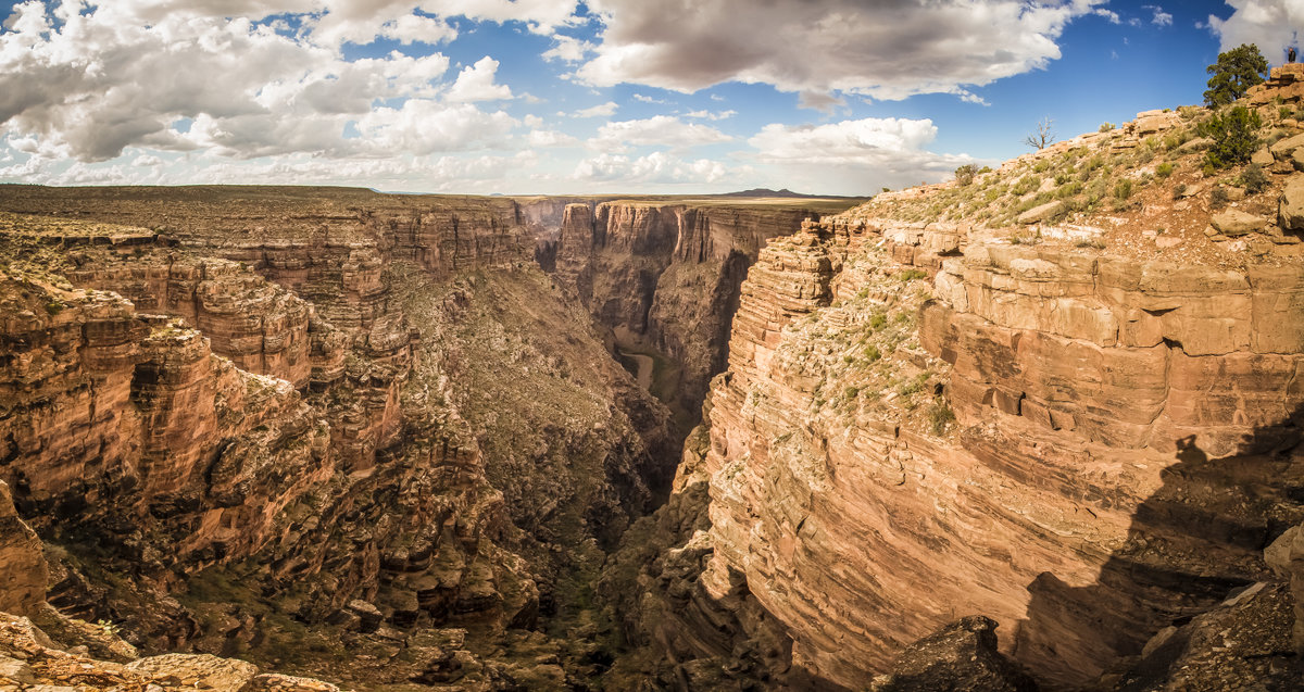 Arizona - Антон Ганжа 