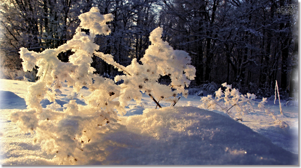 танцующий снег... - Юрий Ефимов