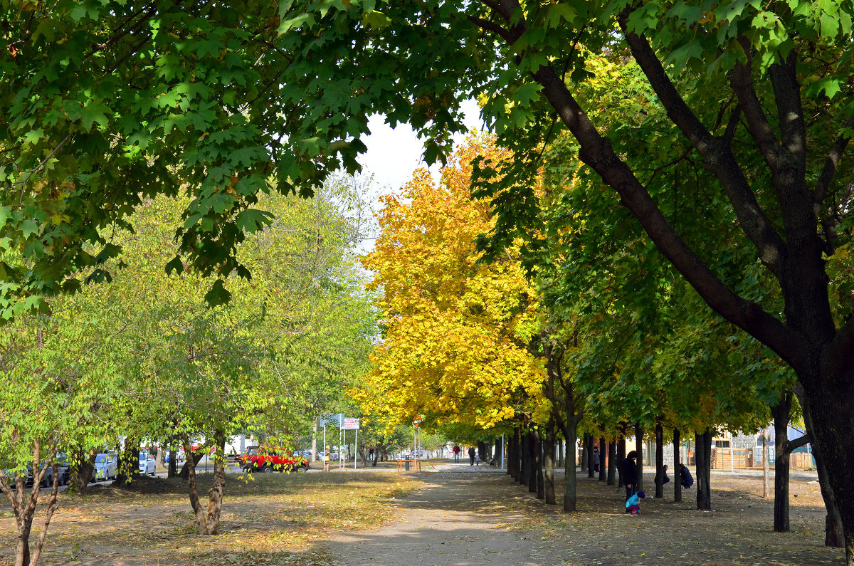 Осень в городе - Николаева Наталья 