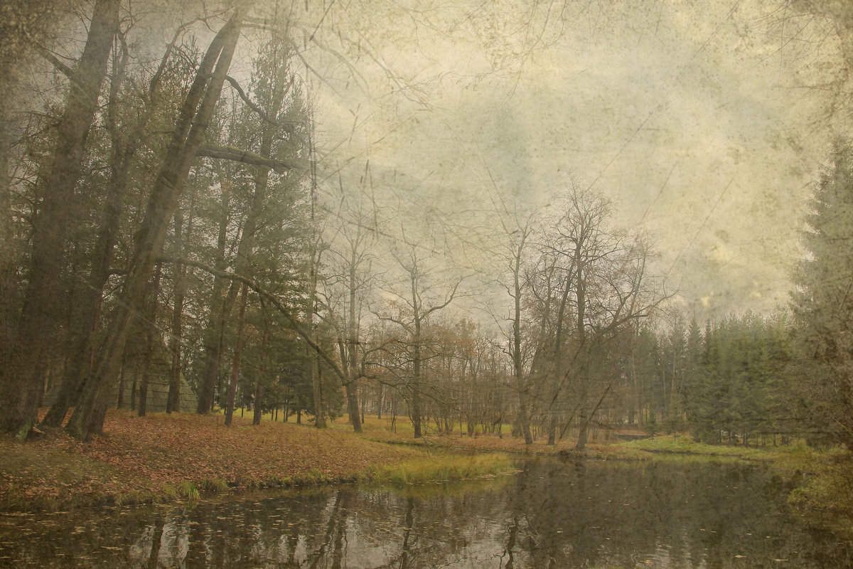 И старый парк  прощается с осеннею красою в эти дни... - Tatiana Markova