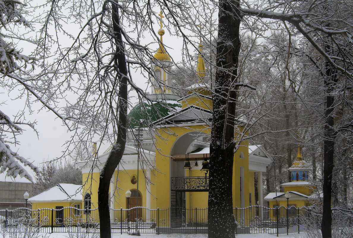Взгляд на церковь через призму леса - Владимир Максимов