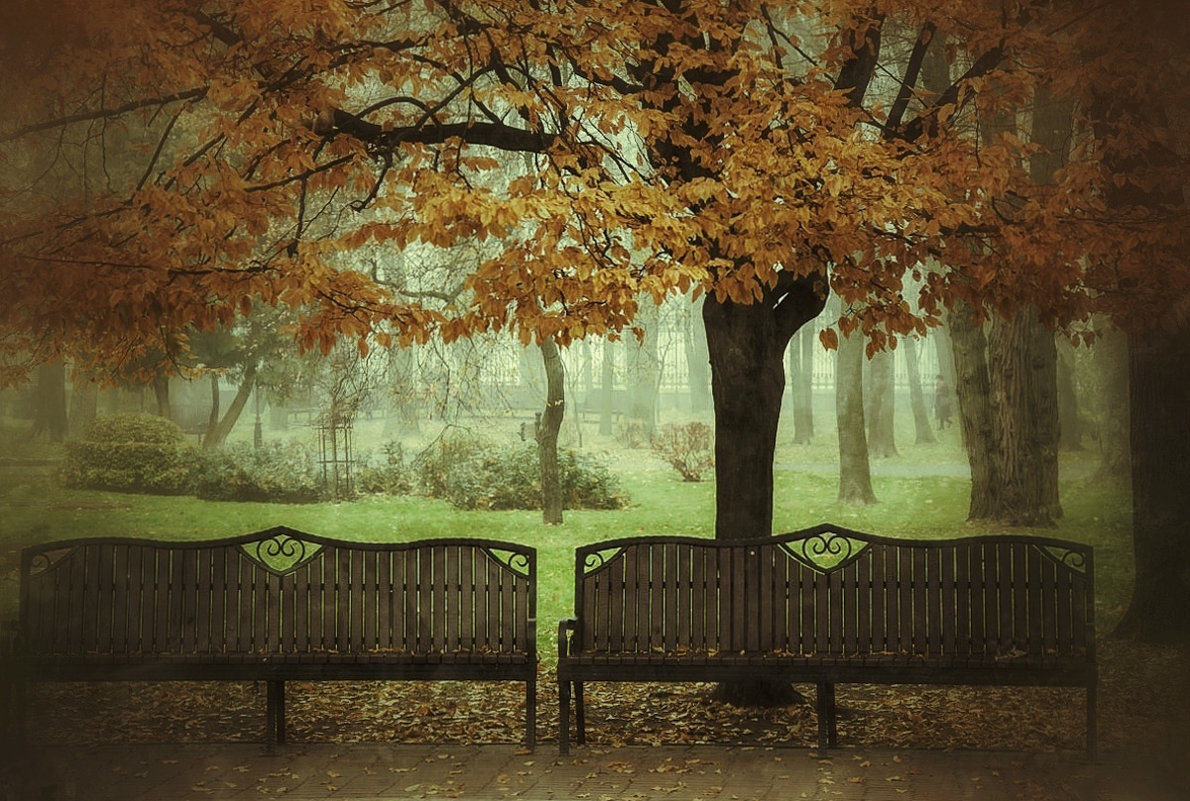 Осень - Виктор Позняков