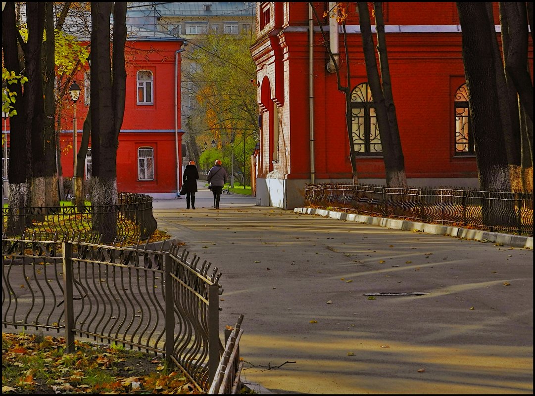 сокольники район москвы