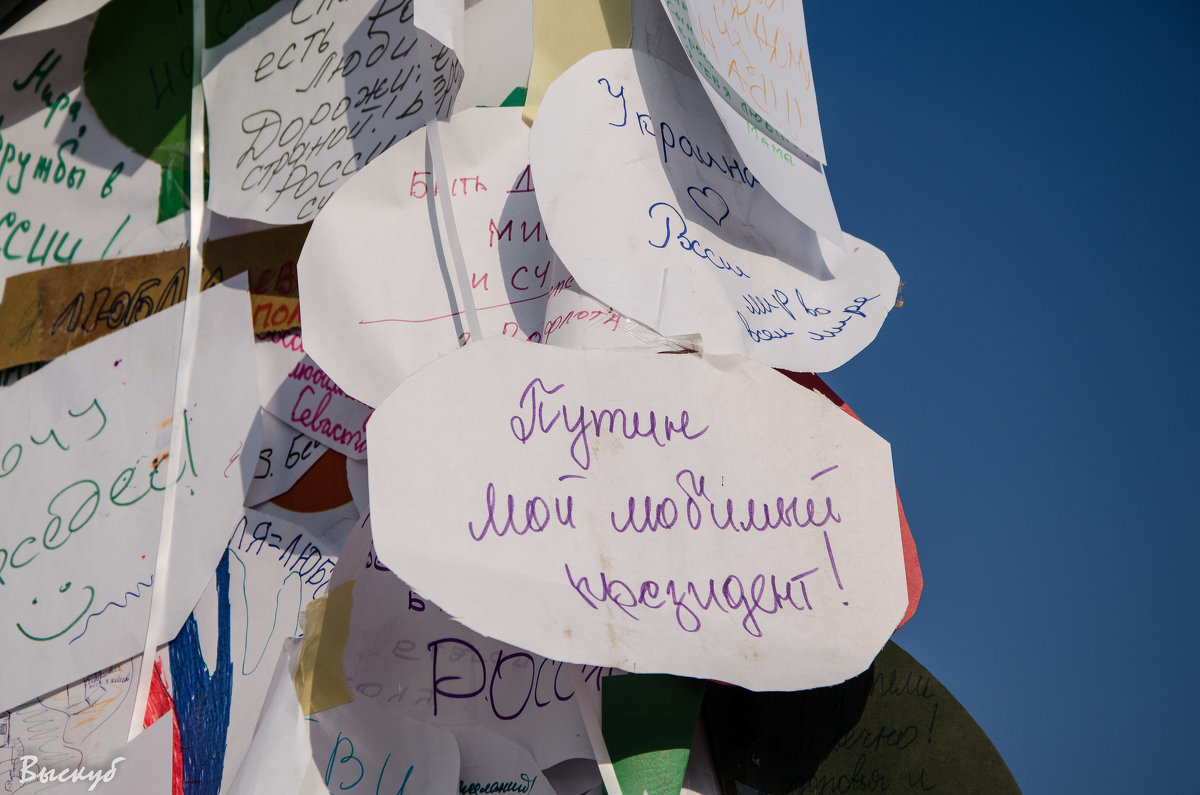 Севастополь. День Народного Единства - Анна Выскуб