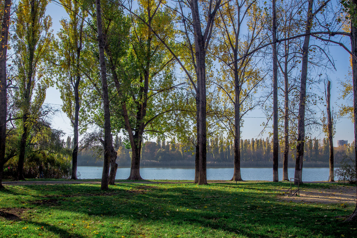 Краснодар, набережная реки Кубань, на др. стороны Солнечного острова, ноябрь 2015 - Таня Харитонова