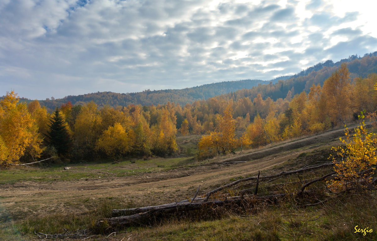 Осенние Карпаты - Сергей Форос