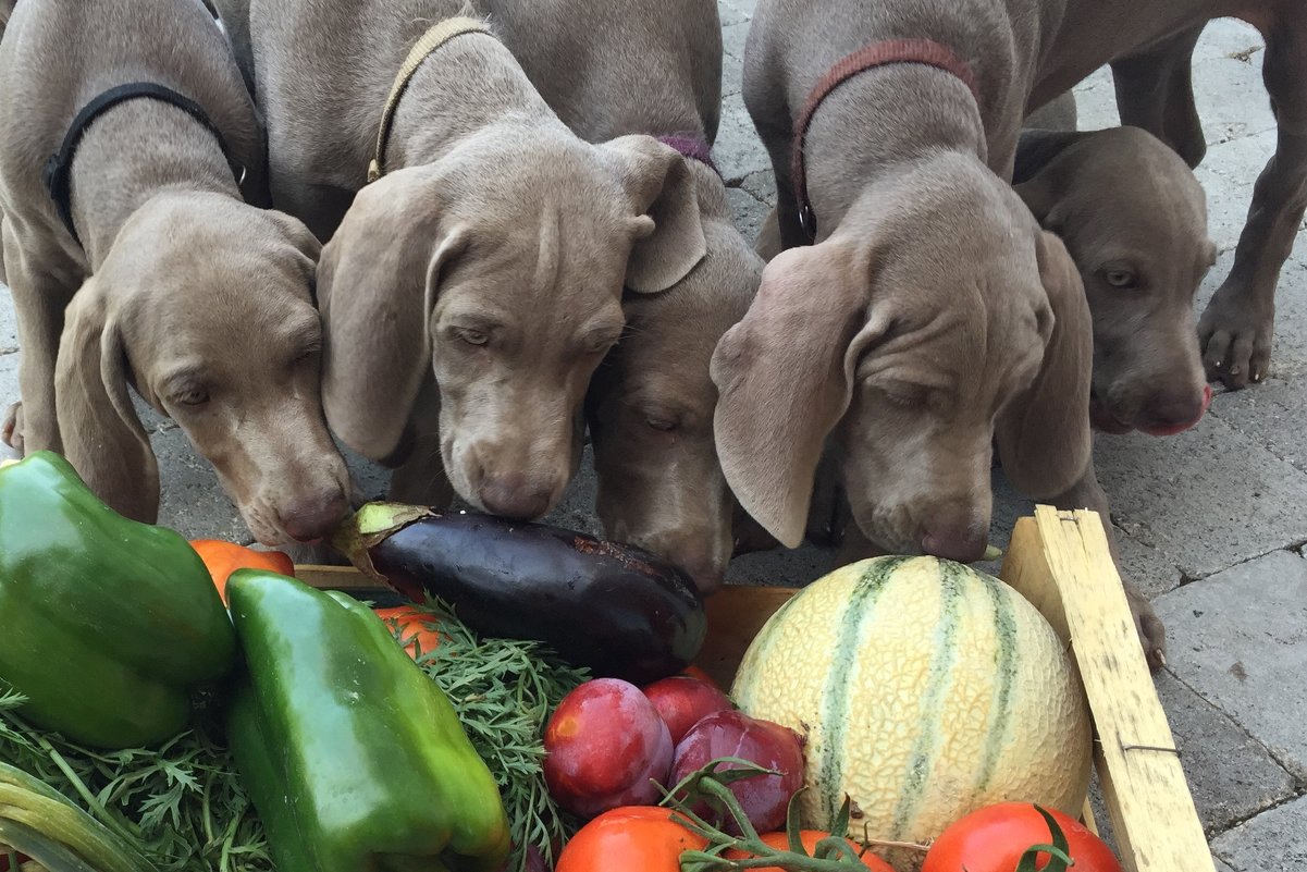 Bon appétit. - kristina 