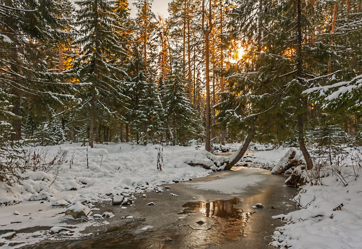Зимняя река - vladimir Bormotov