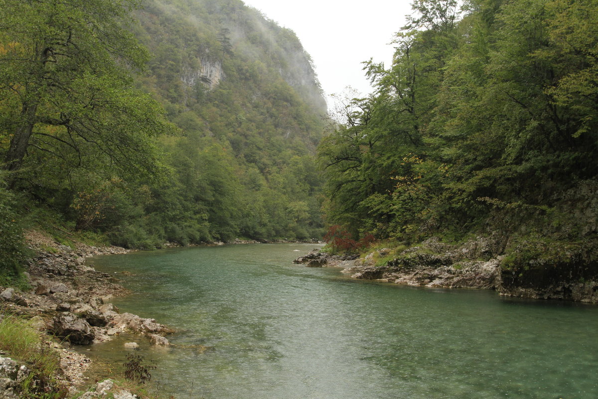 Каньон реки Тара - Marina Talberga