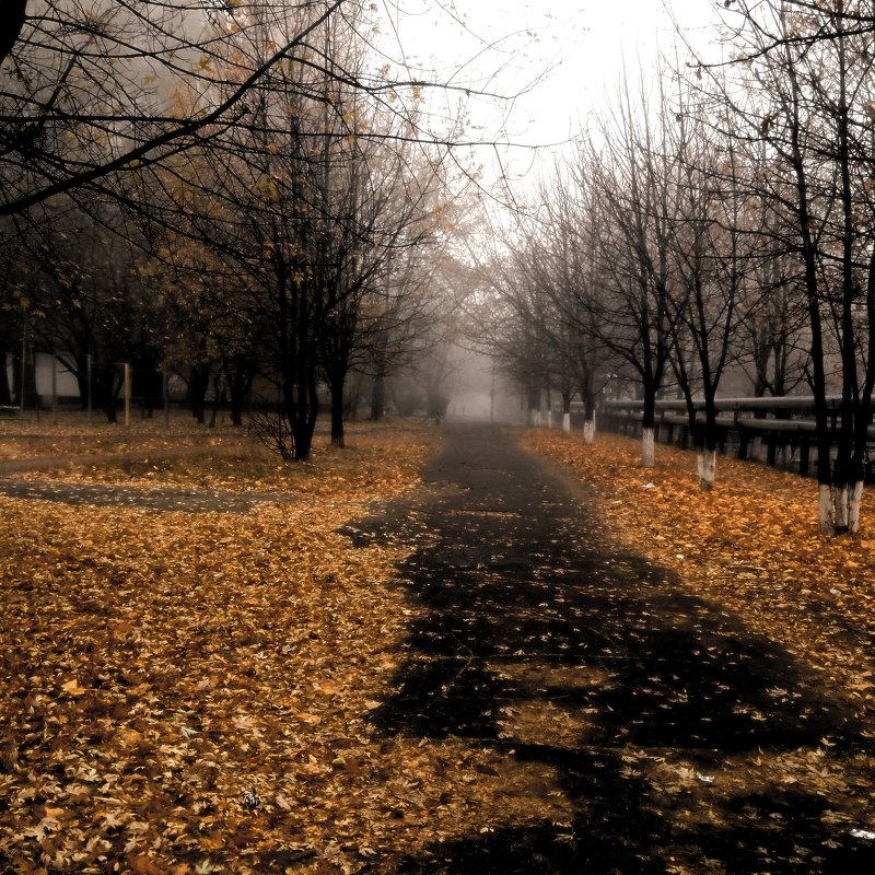 Осенний туман - Екатерина Дмитренко