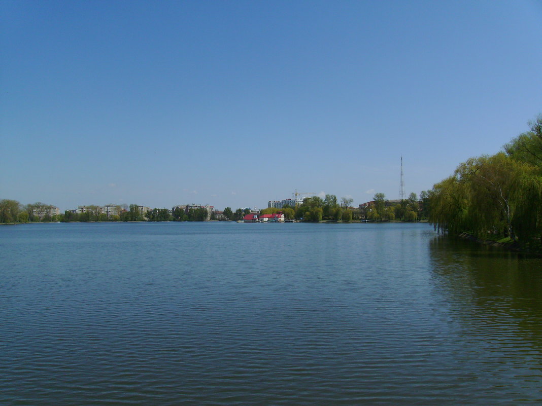 Городское  озеро  Ивано - Франковска - Андрей  Васильевич Коляскин