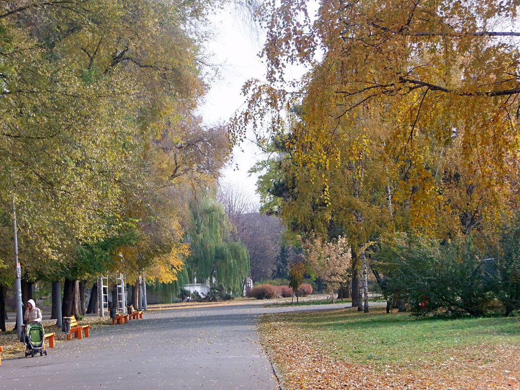 Осенний парк. - Наталья 