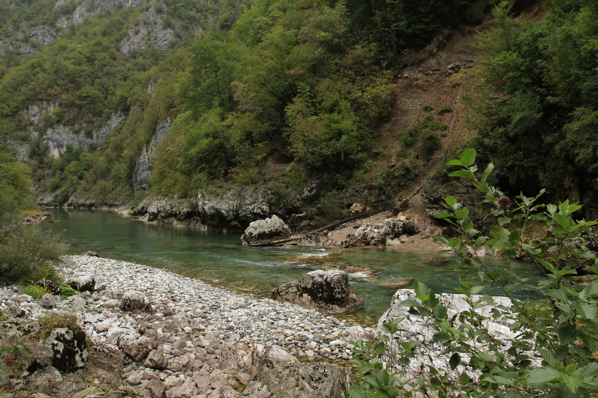 Река Тара - Marina Talberga
