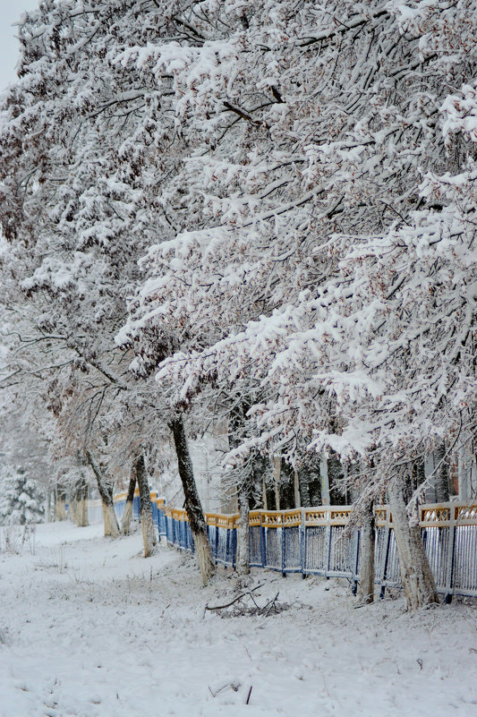 снег - Светлана Рос