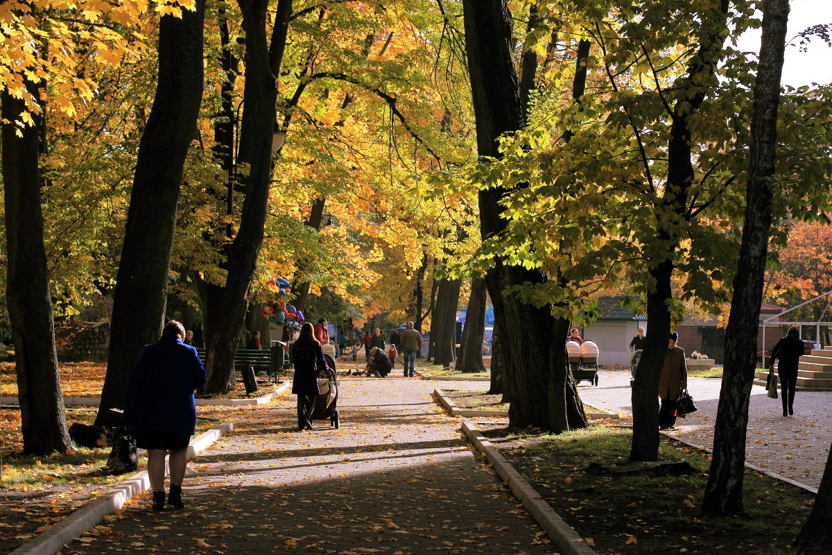 Осень в парке - Андрей Николаевич Незнанов