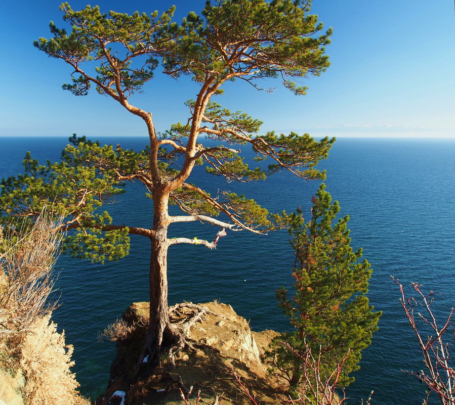 Осень на Байкале - просто красота:яркие деревья,синяя вода... - Александр Попов