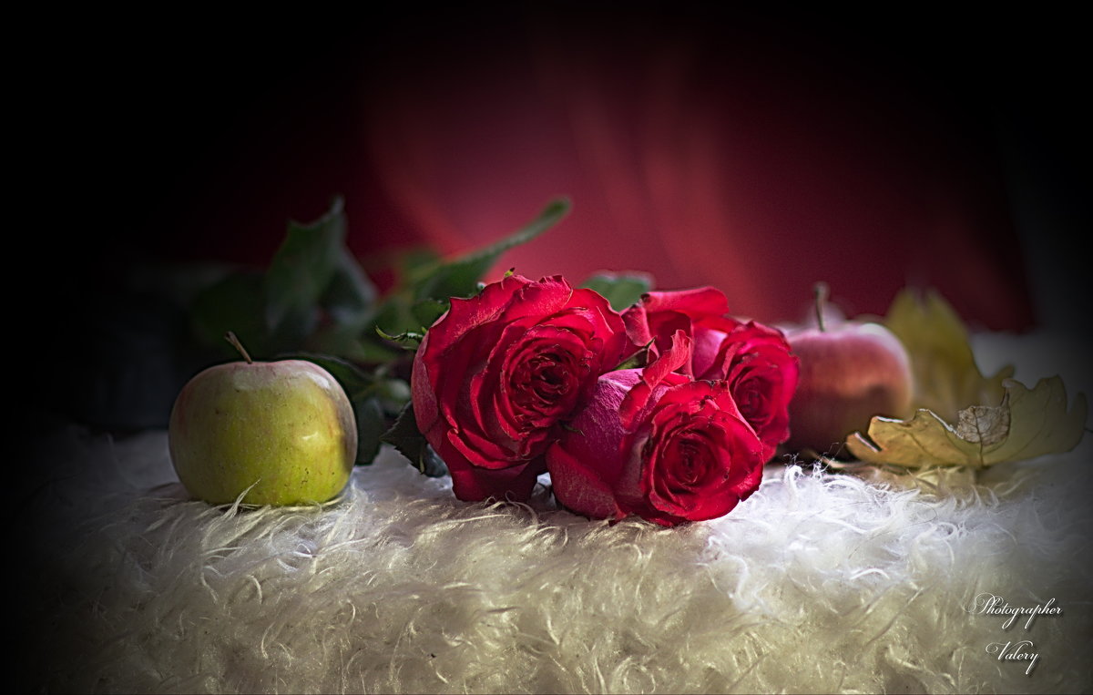 Розы и яблоки - Валерий Лазарев