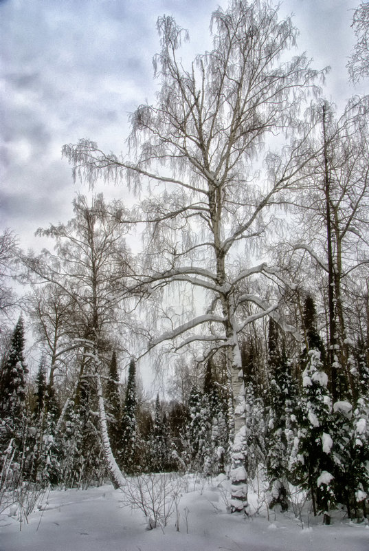 ... - александр 