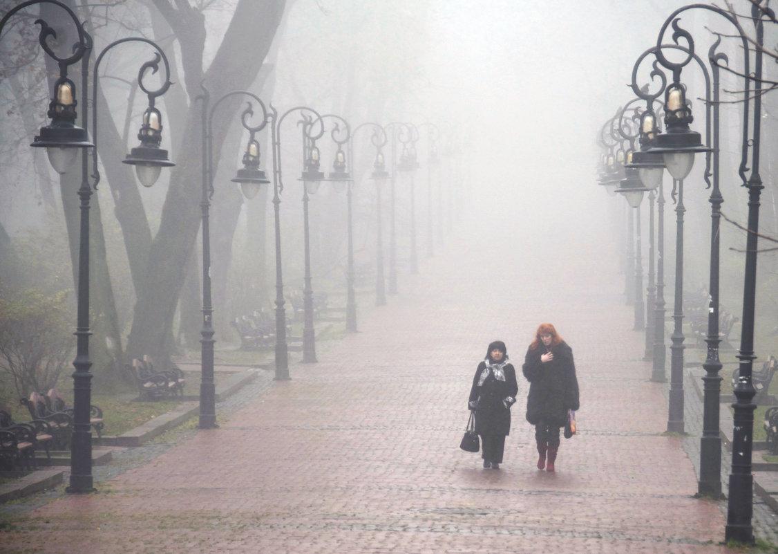 Walking in the fog - alexander zvir