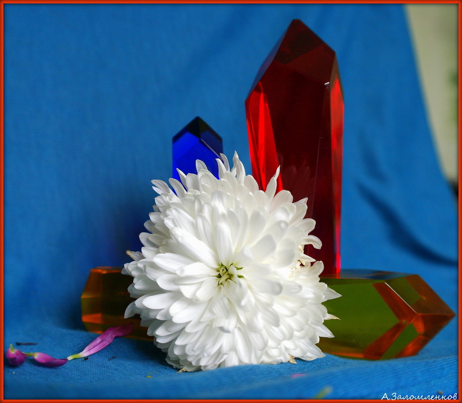 Цветы и кристаллы-4 - Андрей Заломленков
