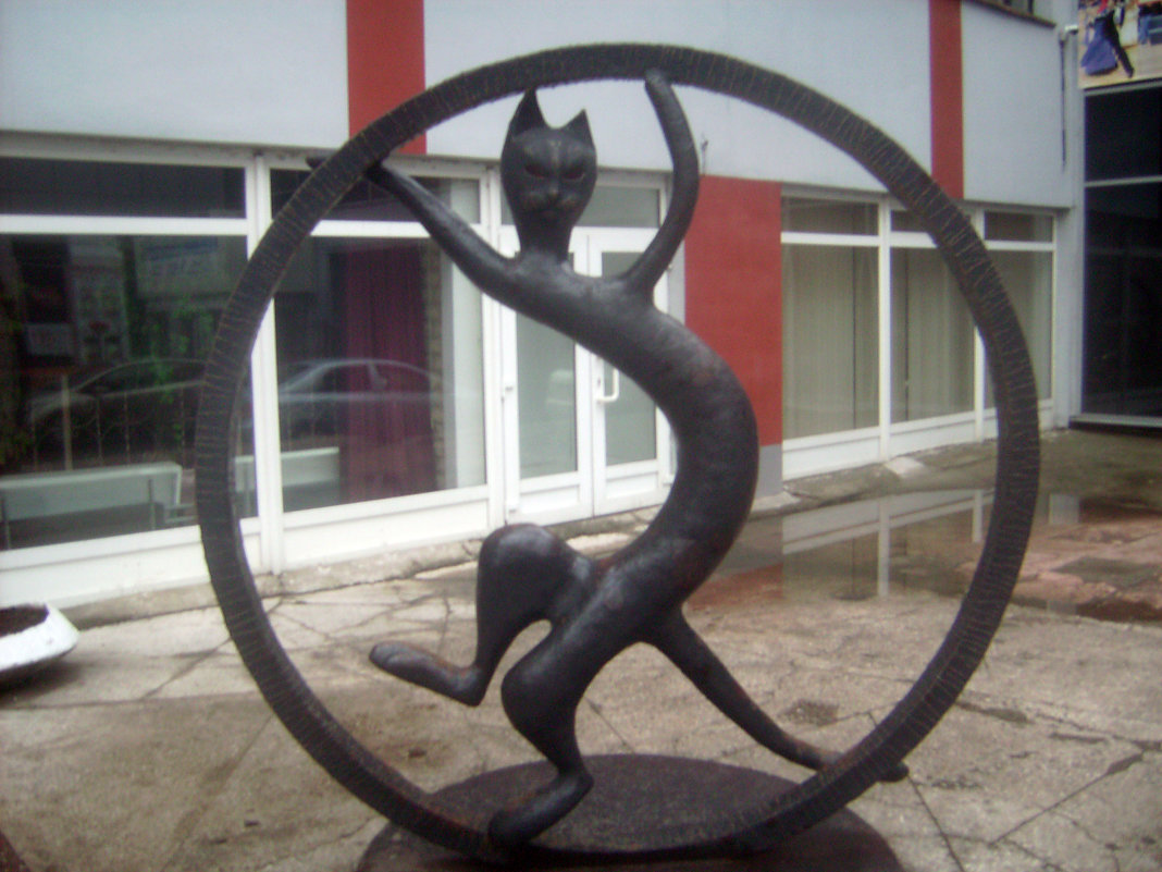 Памятник Черному коту в Рязани - Tarka 