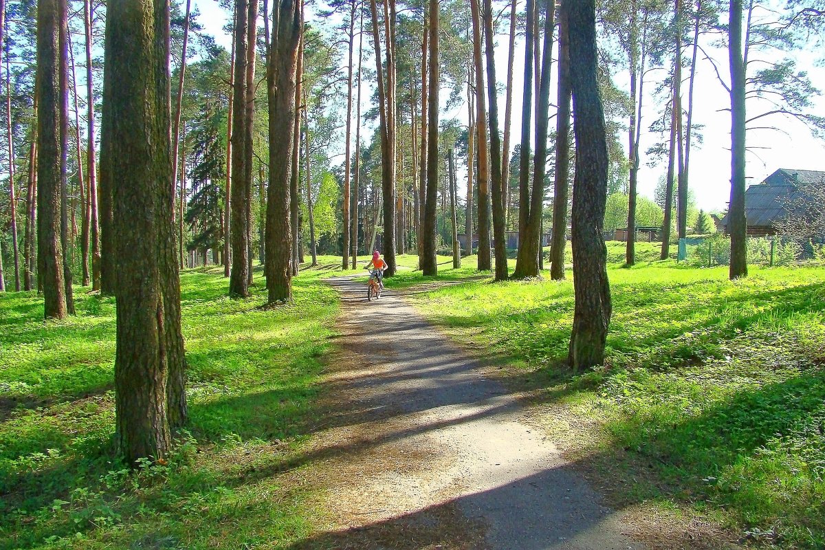 В парке - Анатолий Смирнов