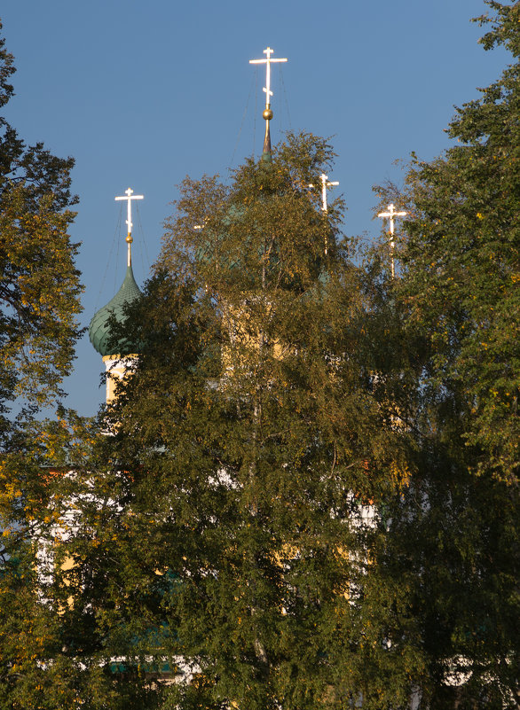 Сквозь листву - Светлана 