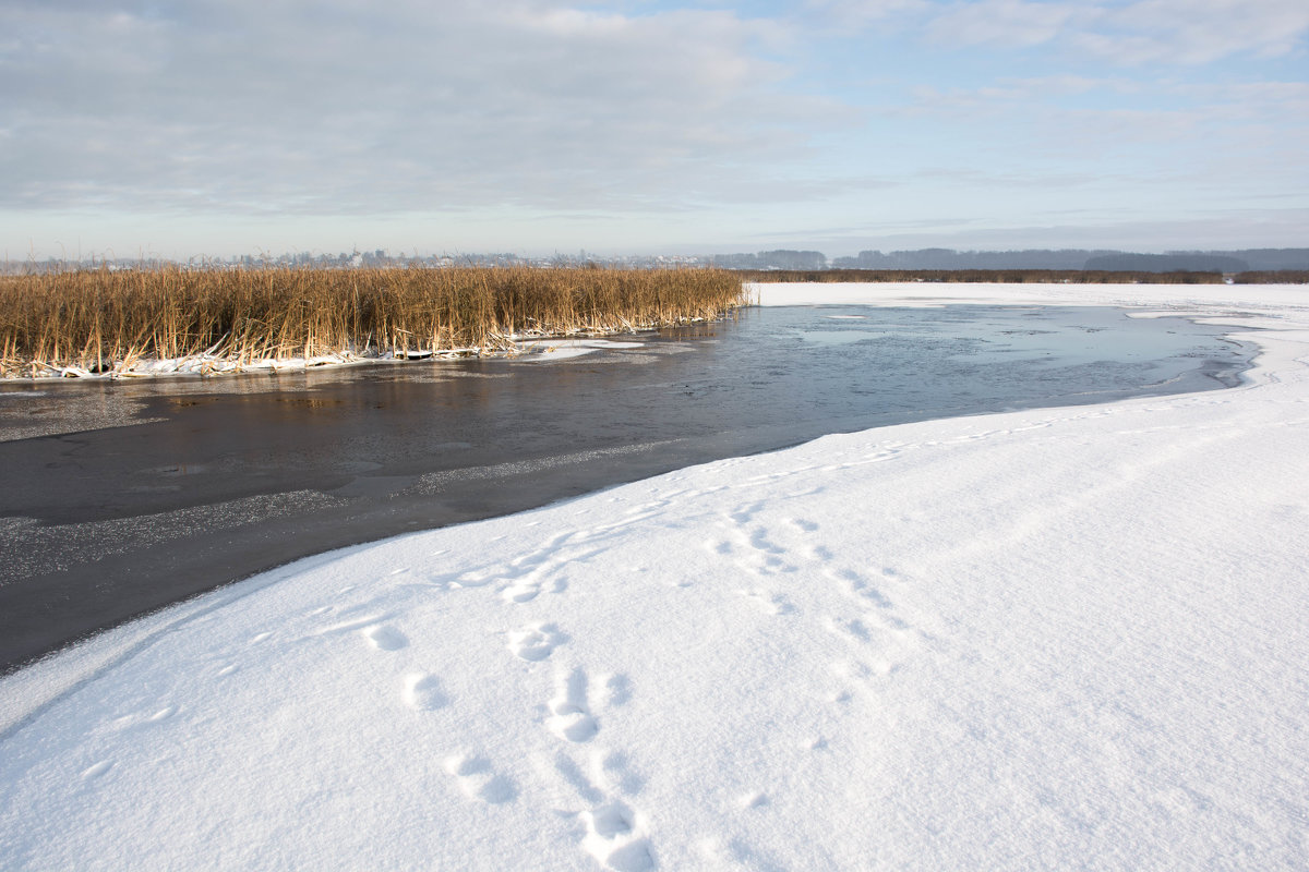 Замерзающая река - Александр 