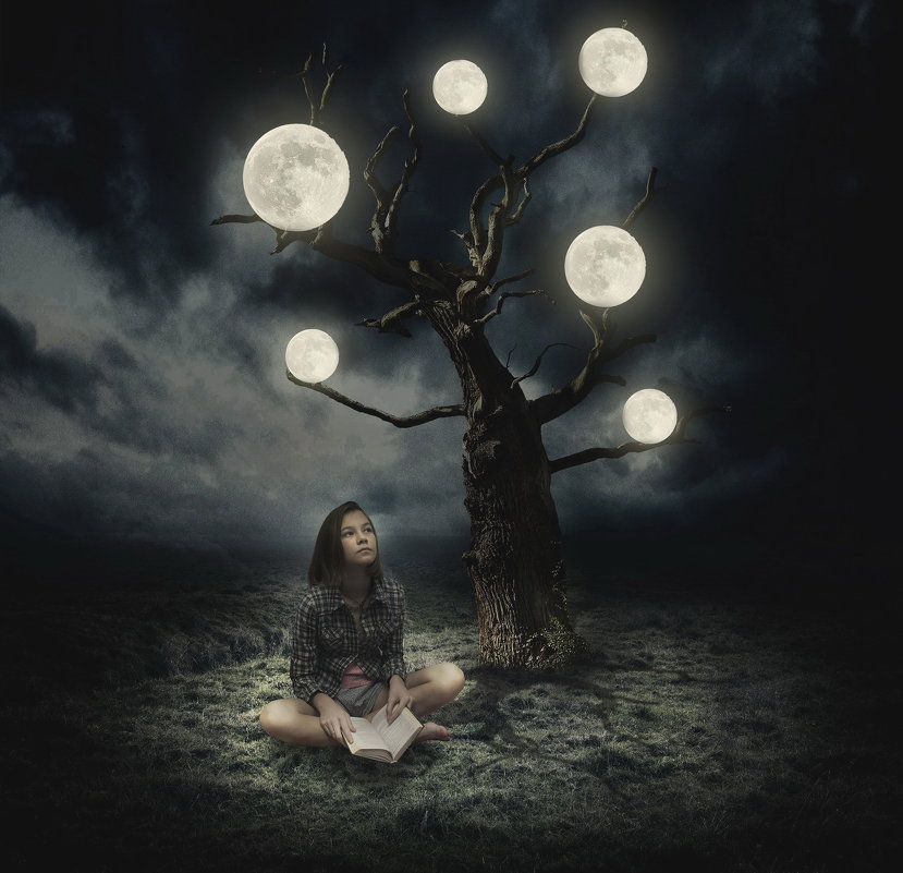 лунное дерево - Юлия Зырянова