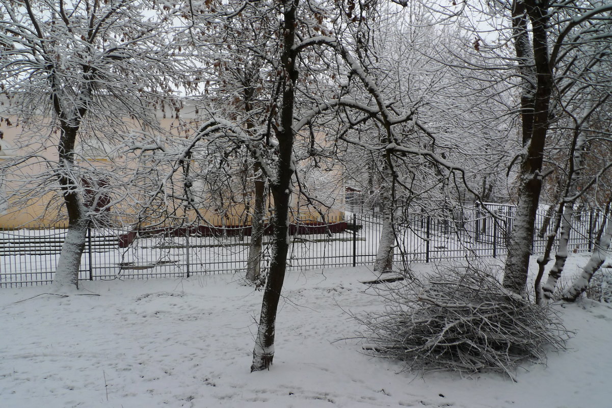 Первый снег - Александр Атаулин
