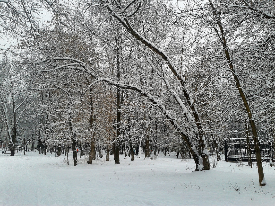 *** - Валентина Береснева