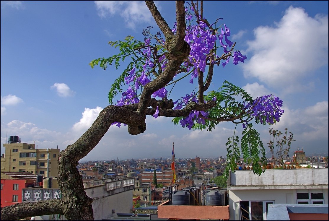 На крыше гостиницы в Катманду - Михаил Рогожин