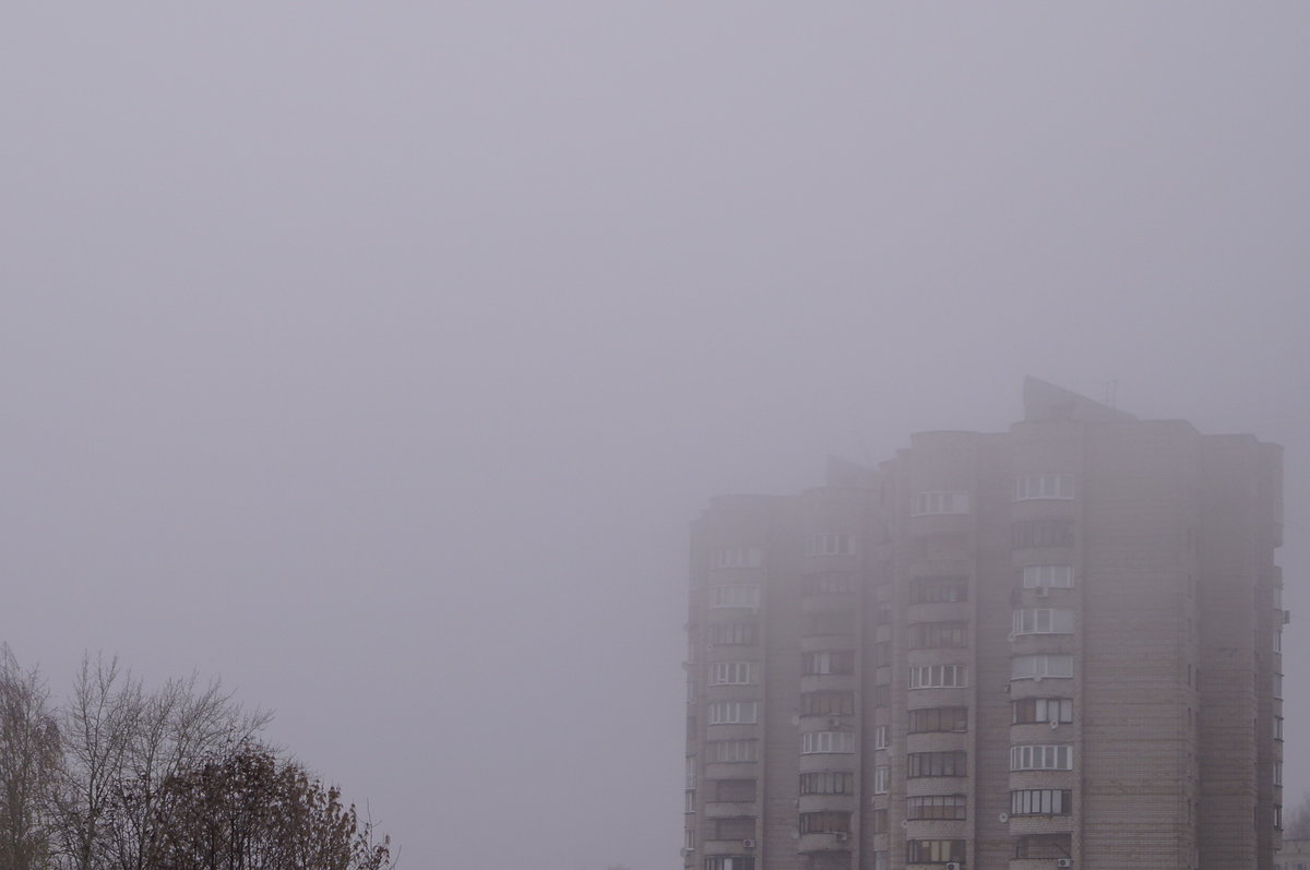 Туман - Мария Емельянова