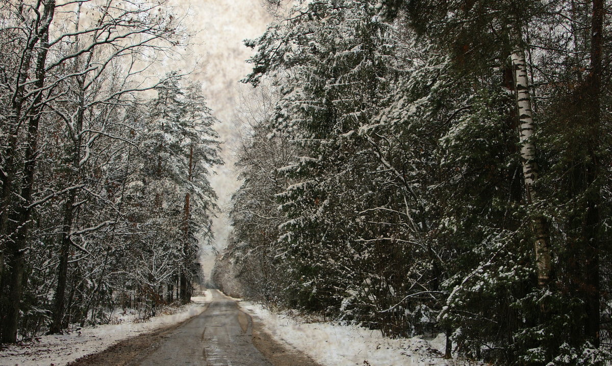 Зимняя дорога - AstaA 