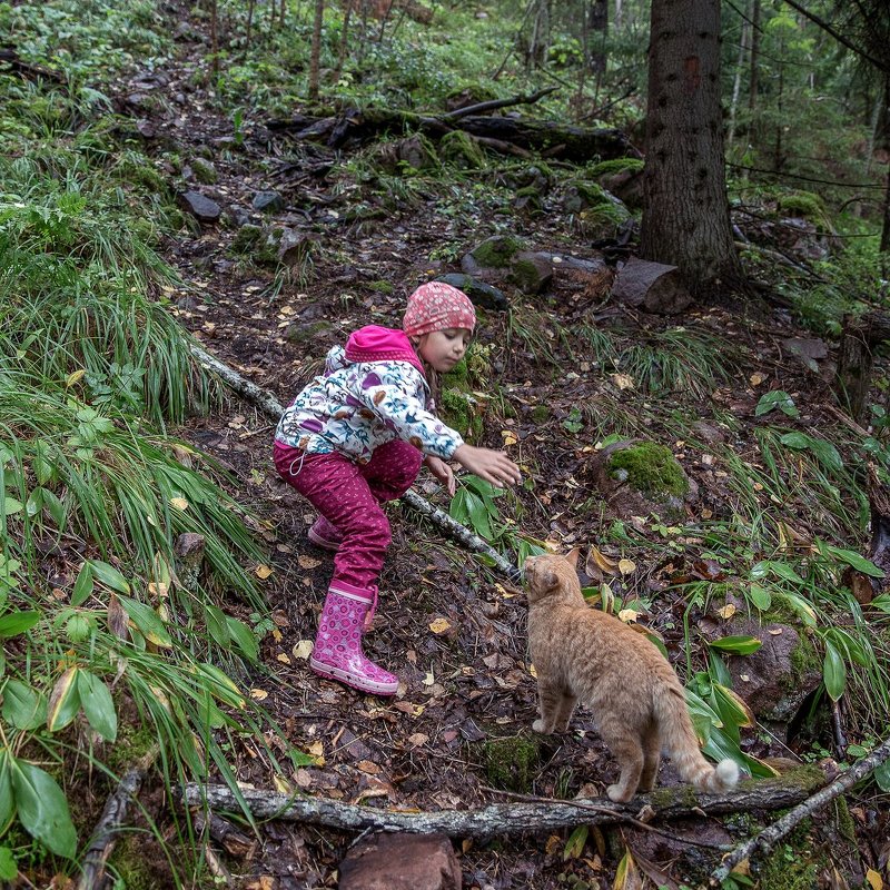 Девочка и кот. Встреча в лесу. - Алиса Колпакова