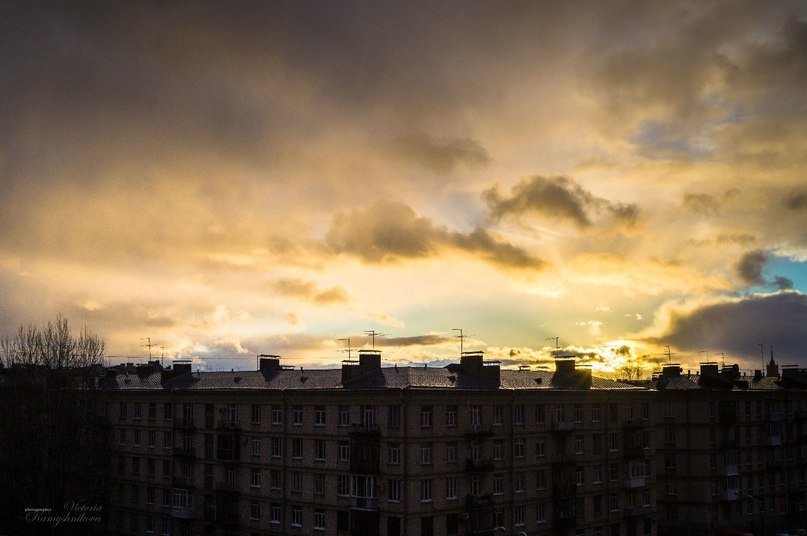 Над городскими крышами - Виктория Камышникова