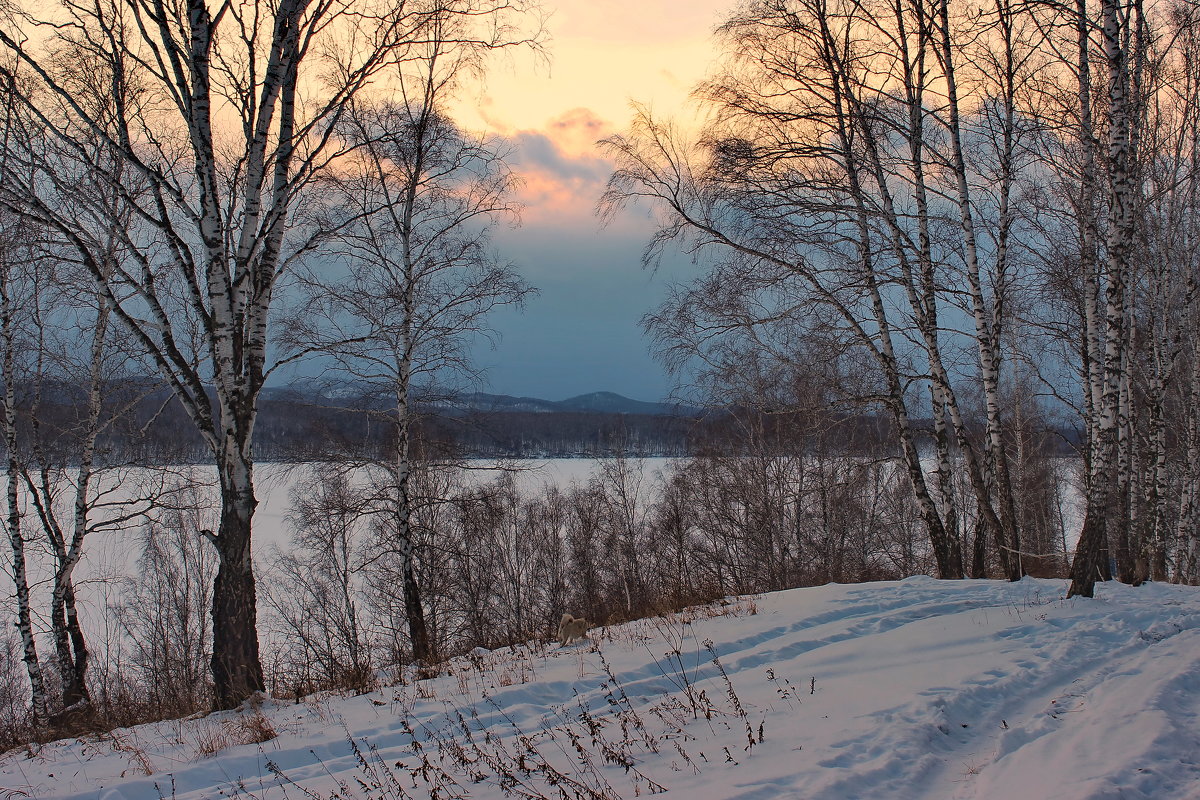 Зимний пейзаж у озера. - Наталья Юрова
