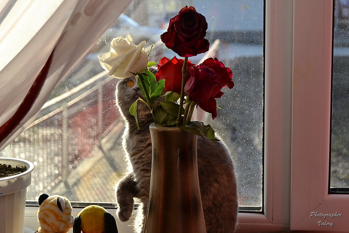 Любительница цветов - Валерий Лазарев