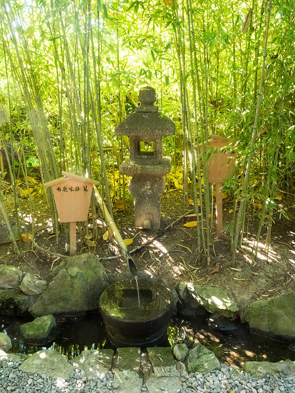Японский сад - Руслан Гончар