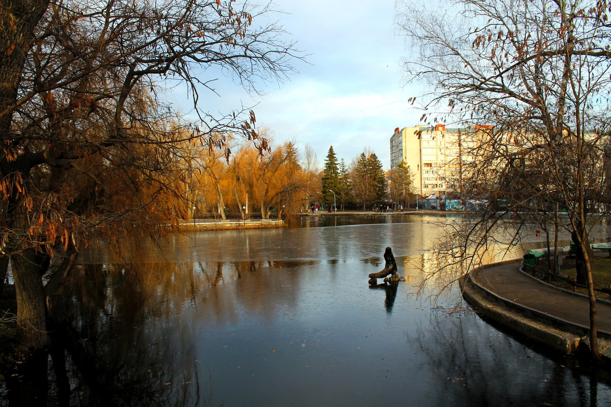 В парке - Лариса Коломиец