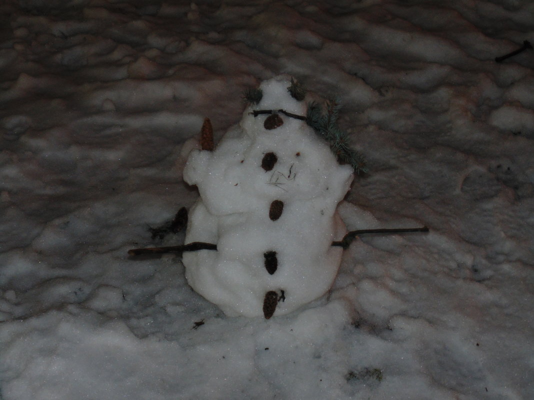 Нано снеговик - Andrew 