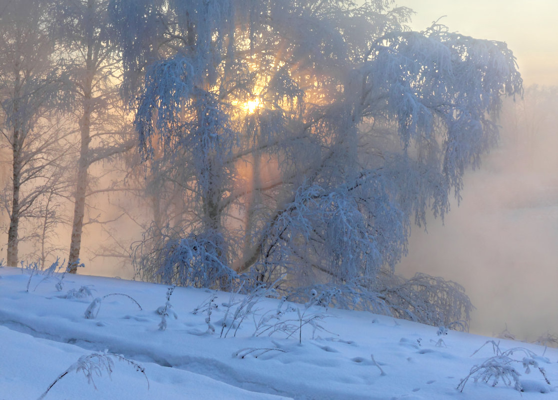 Зимний закат - Мария Кухта