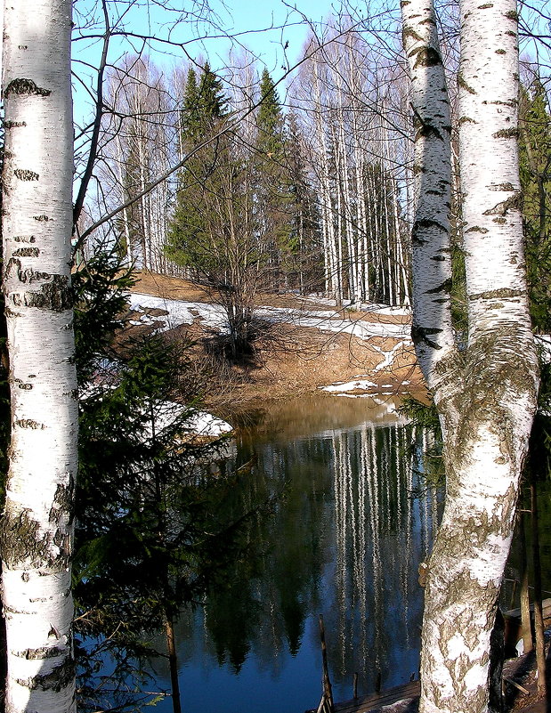 Озеро в дендропарке - Лариса Чудиновских
