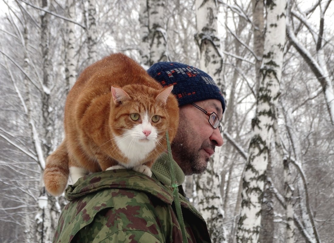 Кот как-бы гуляет - Валерий Чепкасов