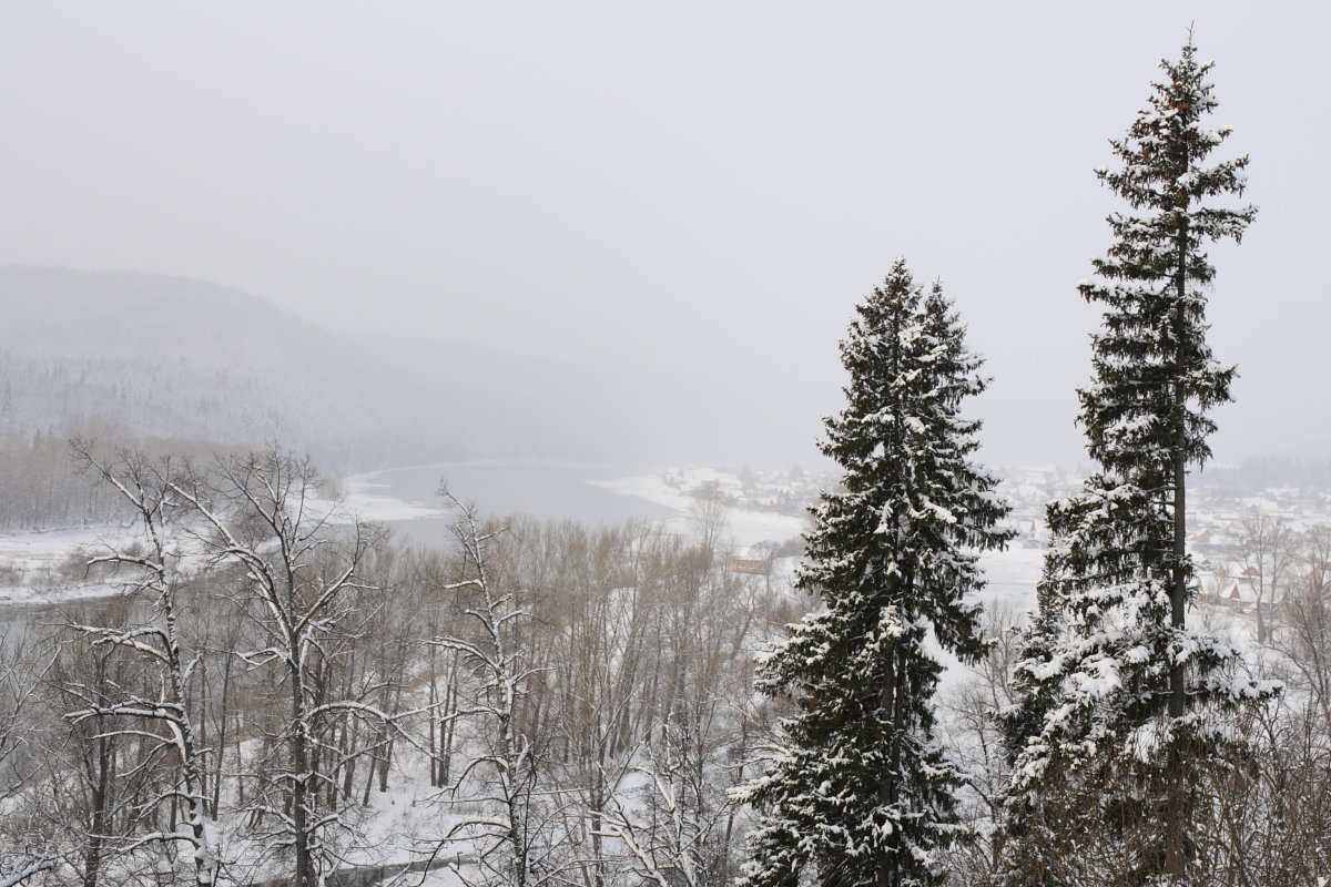 Зима - Станислав 