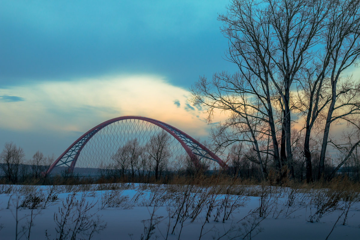 Бугринский мост. Новосибирск - Иван Янковский