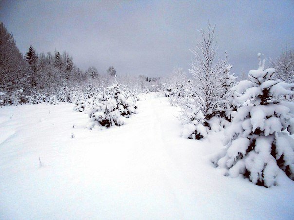 Белое покрывало декабря - Николай Туркин 